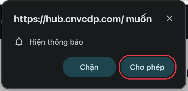 Hộp thoại xin quyền hiện thông báo của Chrome, nút Cho phép được khoanh đỏ
